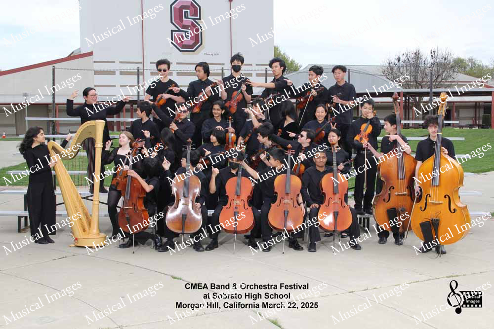 Musical Images